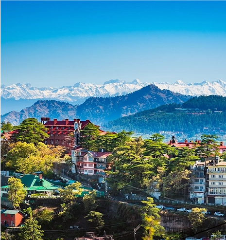 nearby Fortis Hospital